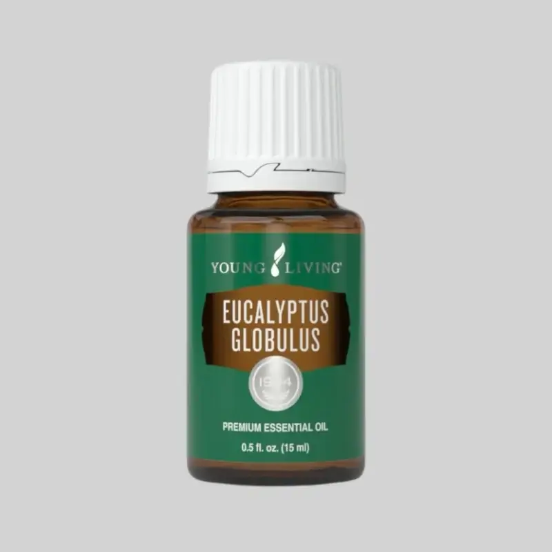 Eucalyptus Oil