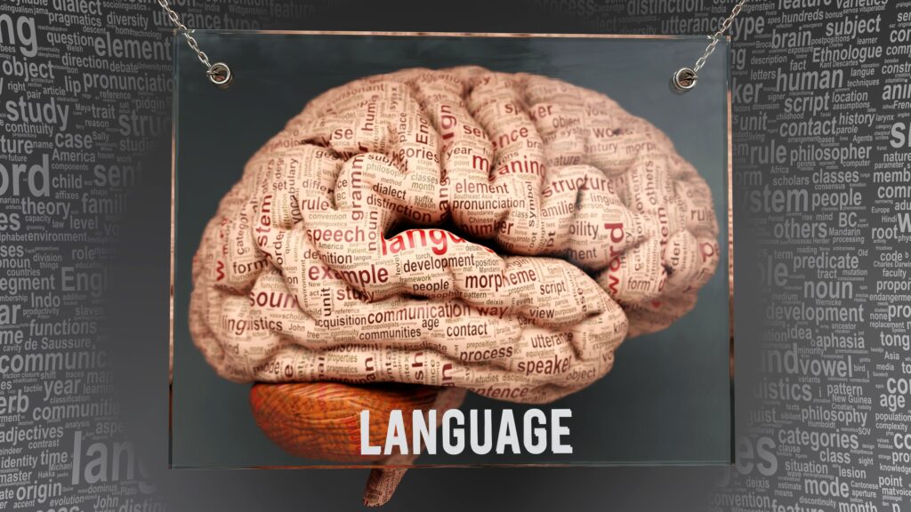 Language and the Hemispheres of the Brain