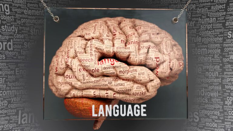 Language and the Brain