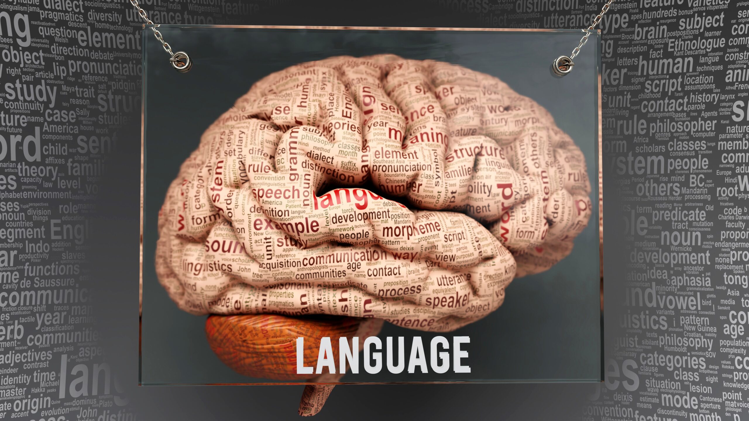 Language and the Brain