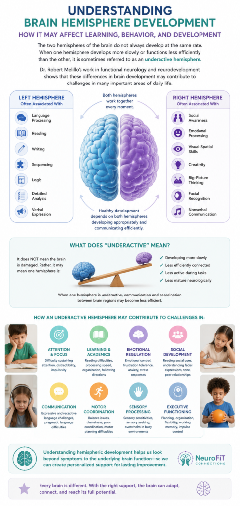 Understanding Brain Hemisphere Development